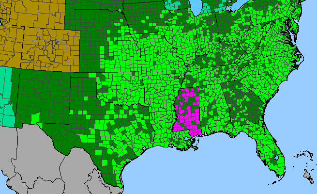 The range of Plantago virginica
